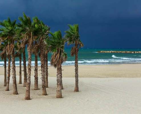 Beach wind storm